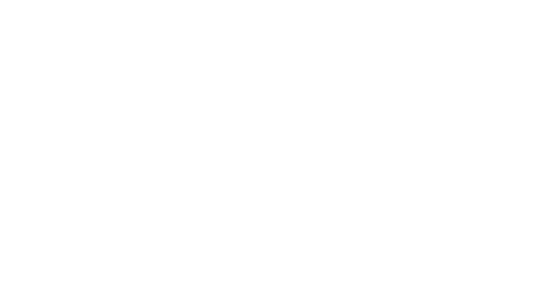 LoboFC Logo